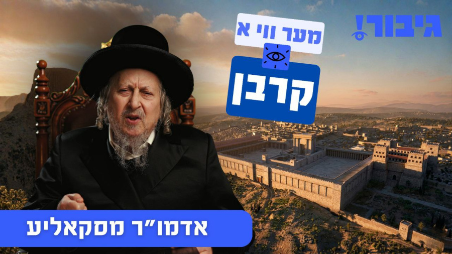 מער ווי א קרבן | אדמו"ר מסקאליע