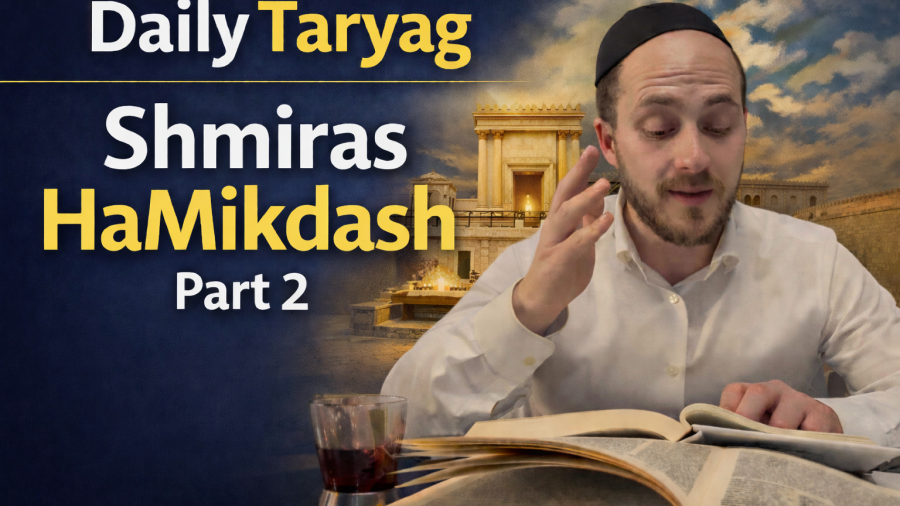Shmiras HaMikdash part 2