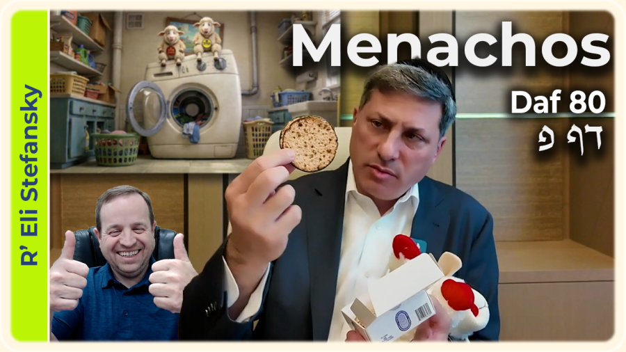 Daf Yomi Menachos Daf 80 by R' Eli Stefansky