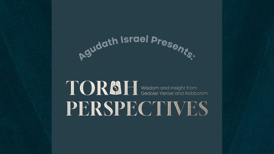 Torah Perspectives - Episode 1: Rav Elya Brudny and Rav Lipa Geldwerth shlita