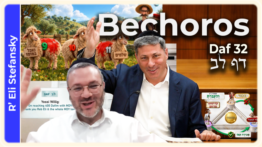 Daf Yomi Bechoros Daf 32 by R' Eli Stefansky