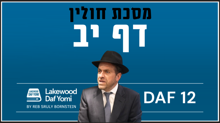 Chulin Daf 12 by Reb Sruly Bornstein