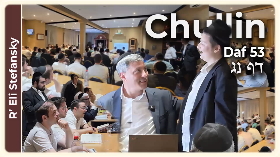 Daf Yomi Chullin Daf 53 by R’ Eli Stefansky