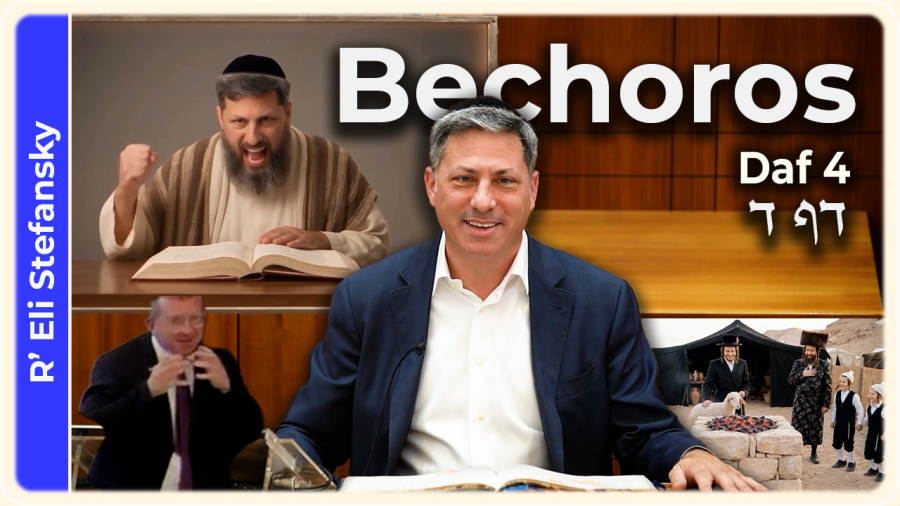 Daf Yomi Bechoros Daf 4 by R' Eli Stefansky
