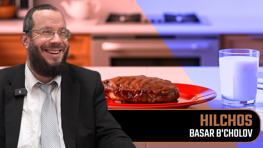 Can You Count the Affected Meat Towards the "Shishim"? | Basar B'cholov 027