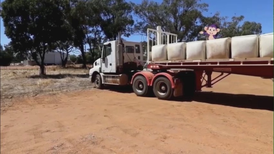 ייצור הצמר באוסטרליה - Wool production in Australia slideshow