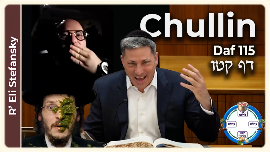 Daf Yomi Chullin Daf 115 by R' Eli Stefansky