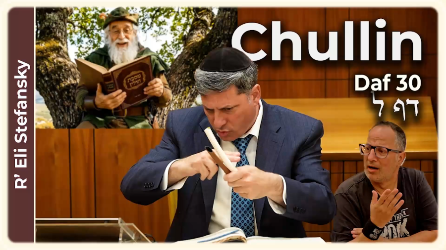 Daf Yomi Chullin Daf 30 by R' Eli Stefansky