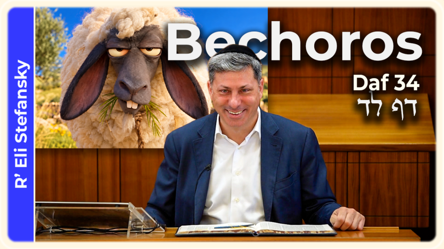 Daf Yomi Bechoros Daf 34 by R' Eli Stefansky