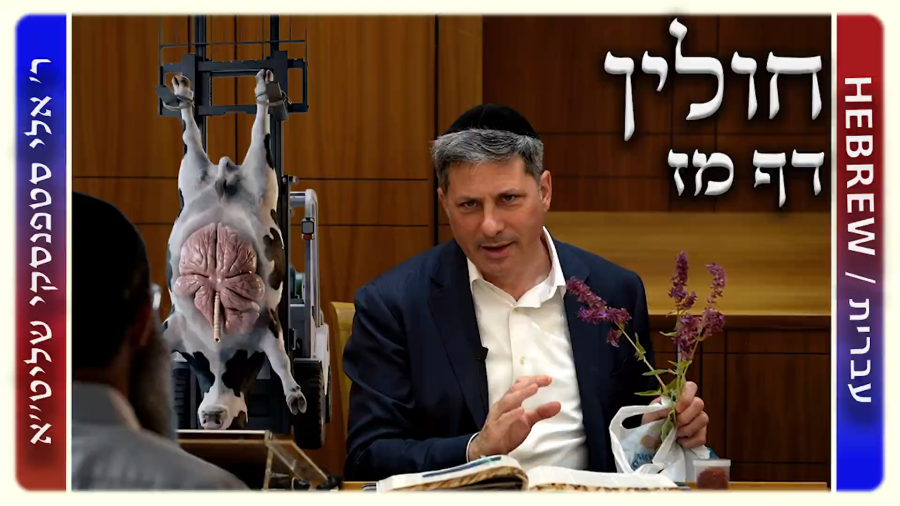 מרכז דף יומי - חולין דף מז. - ר' אלי סטפנסקי שליט"א
