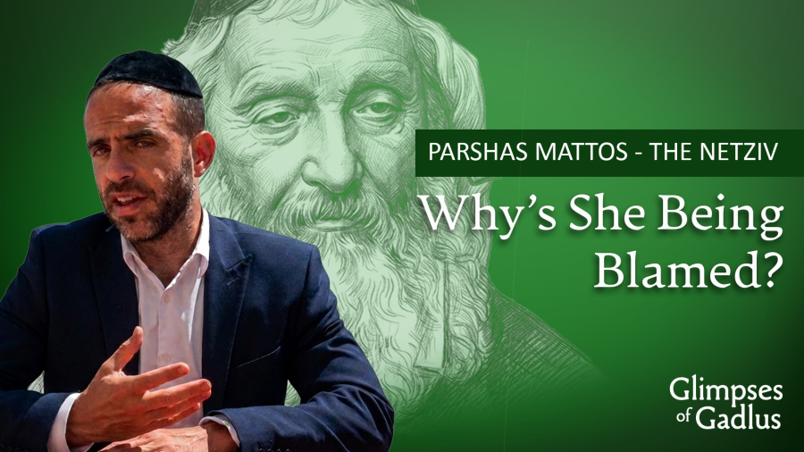 Mattos - The Netsiv - Why's She Being Blamed?