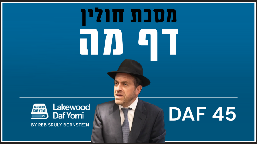 Chulin Daf 45 by Reb Sruly Bornstein