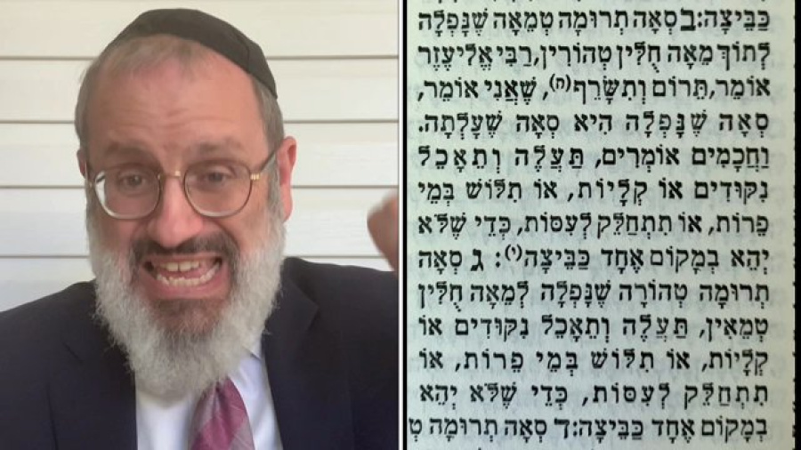 01 Zeraim 06 Terumos 5:2