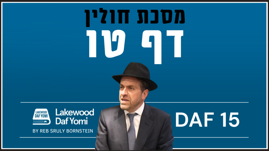 Chulin Daf 15 by Reb Sruly Bornstein