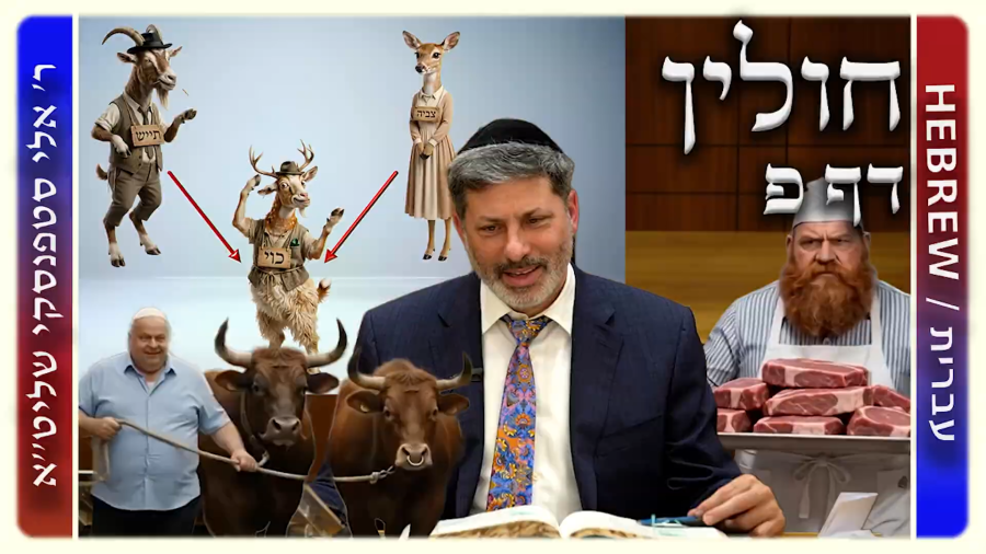 מרכז דף יומי - חולין דף פ. - ר' אלי סטפנסקי שליט"א