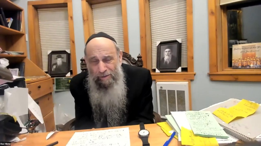 Rabbi, what should I study during summer break? | Ask the Rabbi Live with Rabbi Chaim Mintz