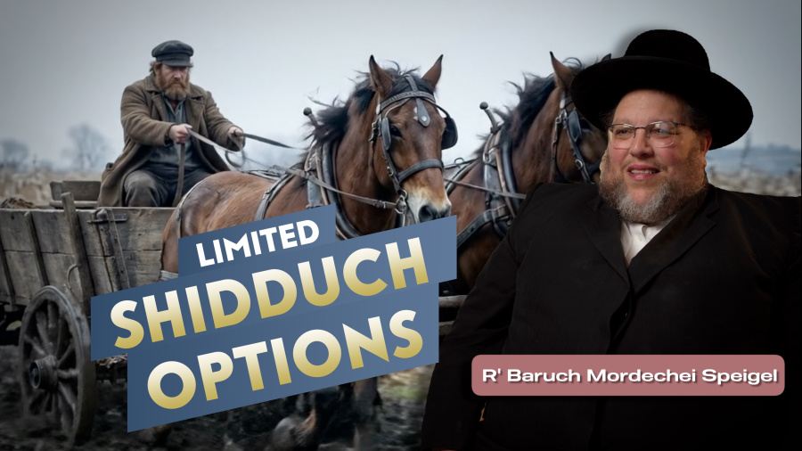 Limited Shidduch Options - R' Baruch Mordechei Speigel