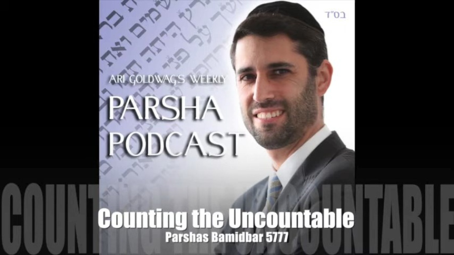 Ari Goldwag - Bamidbar - Counting the Uncountable