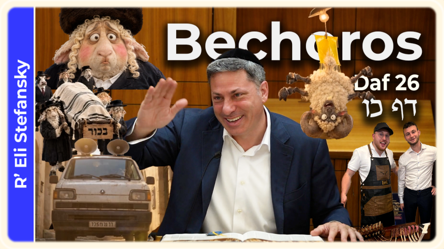 Daf Yomi Bechoros Daf 26 by R' Eli Stefansky
