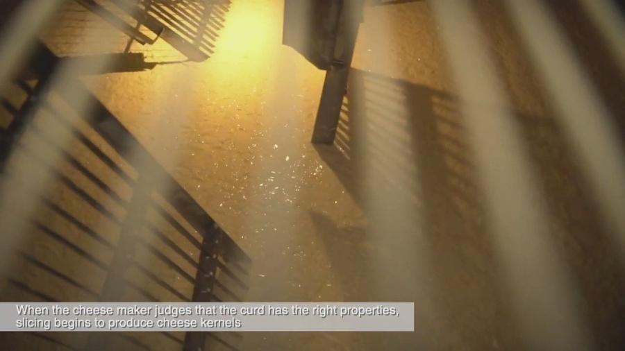 מצגת - תעשיית גבינה וחשיבות הגבינה - Presentation - cheese industry and the virtues of cheese