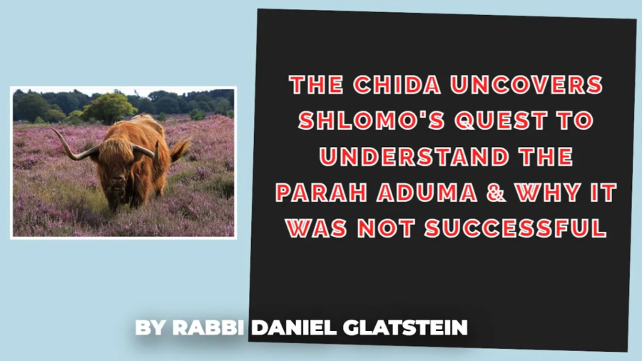 Chukas: The Chida Uncovers Shlomo's Quest To Understand the Parah Aduma & Why It Was Not Successful