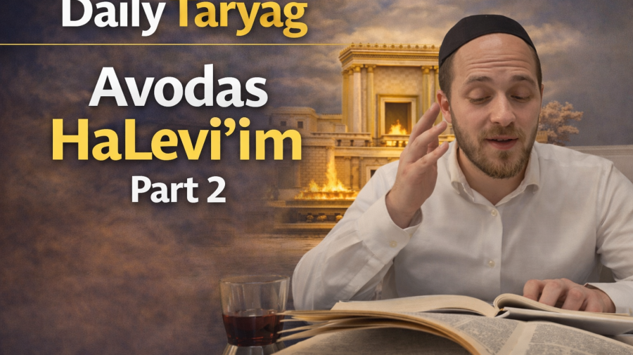 Avodas HaLevi’im Part 2