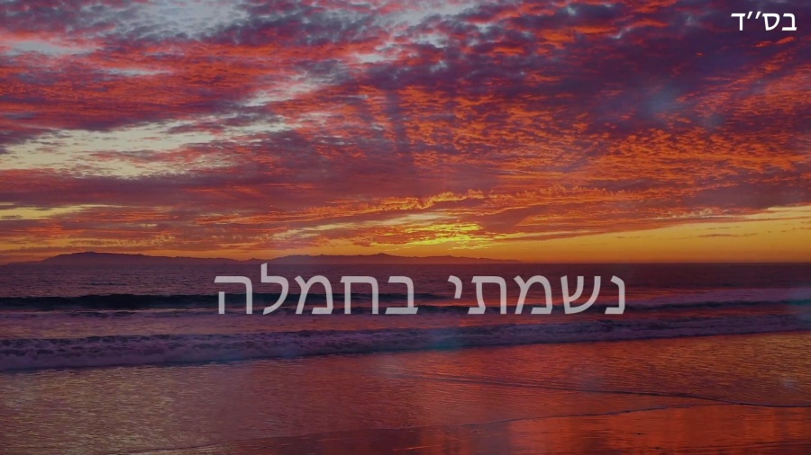 NAFTALI BLUMENTHAL - DAILY TRUST - OFFICIAL LYRIC VIDEO