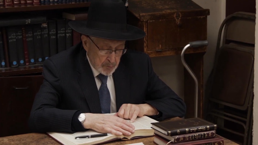 Shloime Dachs - Torah [Official Video]