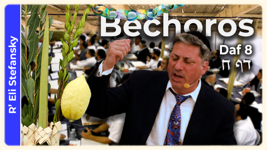 Daf Yomi Bechoros Daf 8 by R' Eli Stefansky