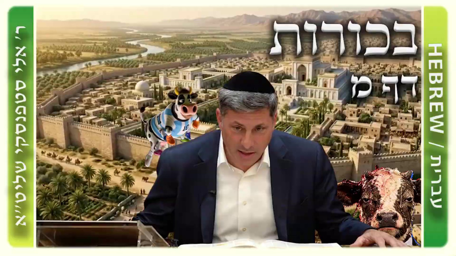 מרכז דף יומי - בכורות דף מ. - ר' אלי סטפנסקי שליט"א