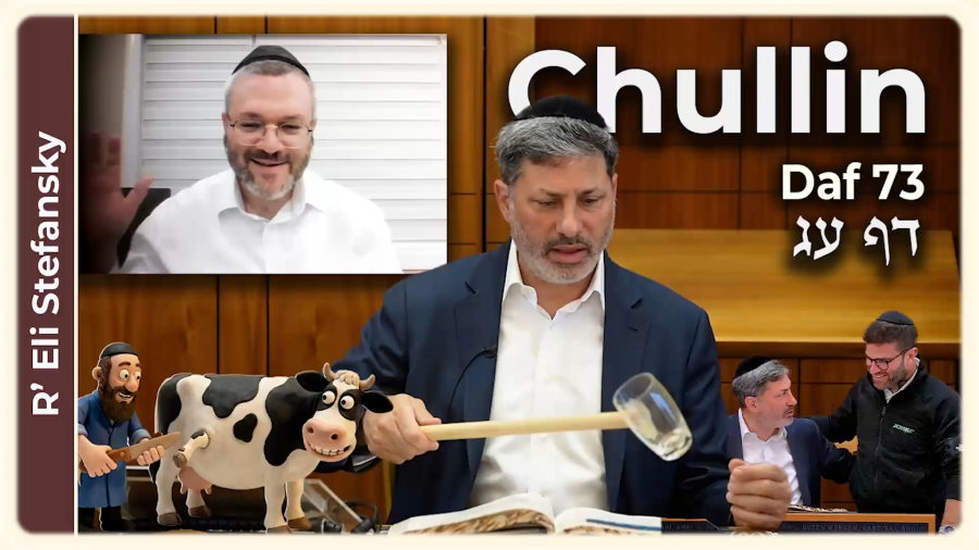 Daf Yomi Chullin Daf 73 by R' Eli Stefansky
