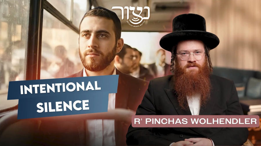 Pinches Wolhendler - Intentional Silence