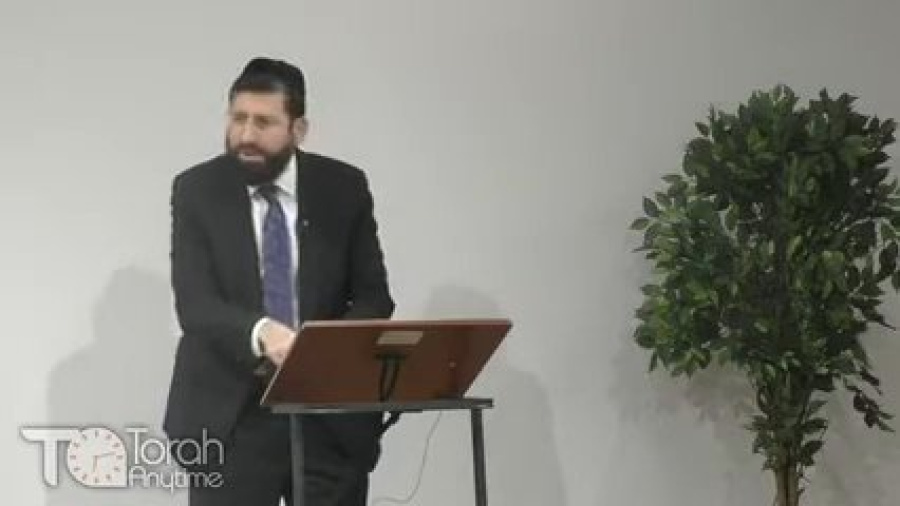 Parshas Vayeitzey - Words of Torah; DNA of the Universe + Q&A