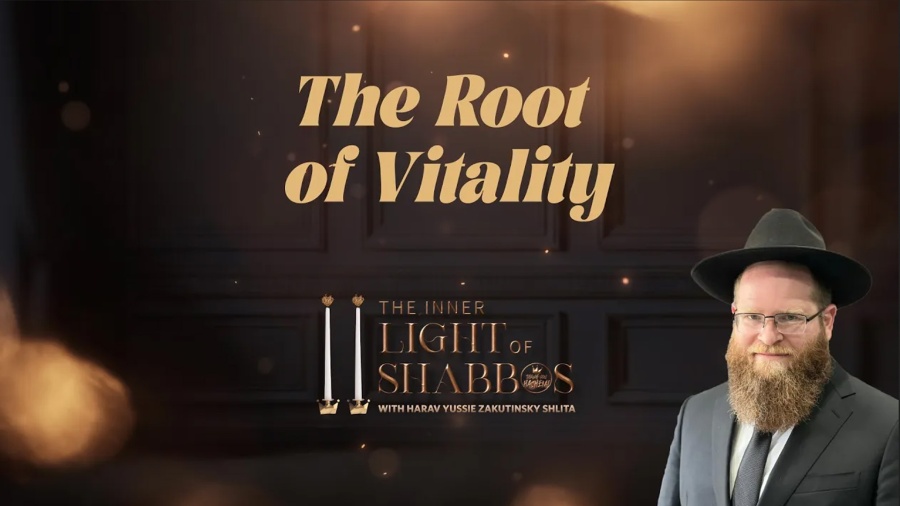 The Root of Vitality - The Inner Light of Shabbos (7)