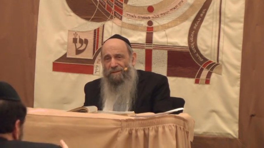 Can I lie to Waze? - Ask the Rabbi Live with Rabbi Mintz