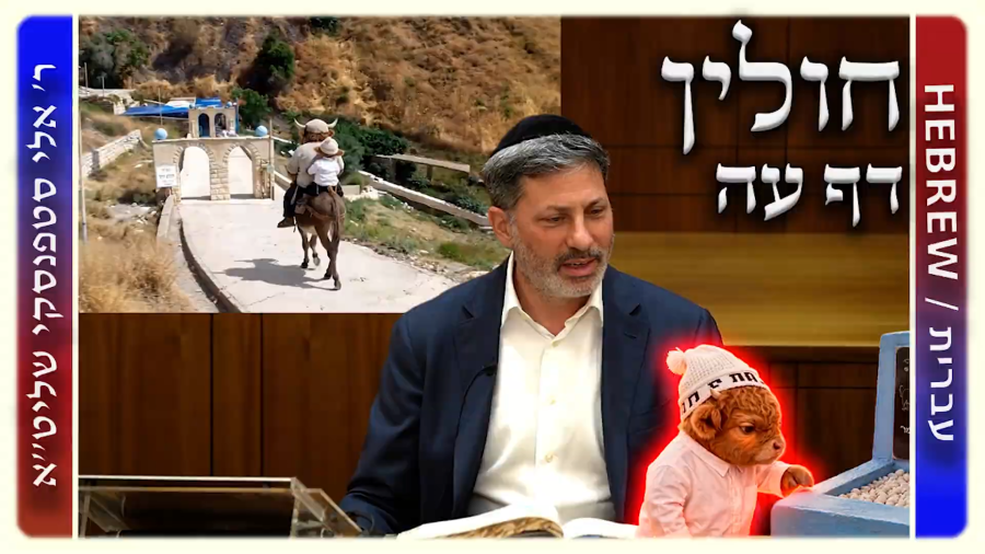 מרכז דף יומי - חולין דף עה. - ר' אלי סטפנסקי שליט"א