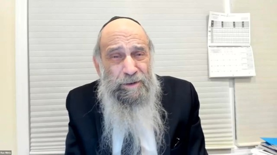 What's the significance of the red heifer controversy? | Ask the Rabbi Live with Rabbi Chaim Mintz