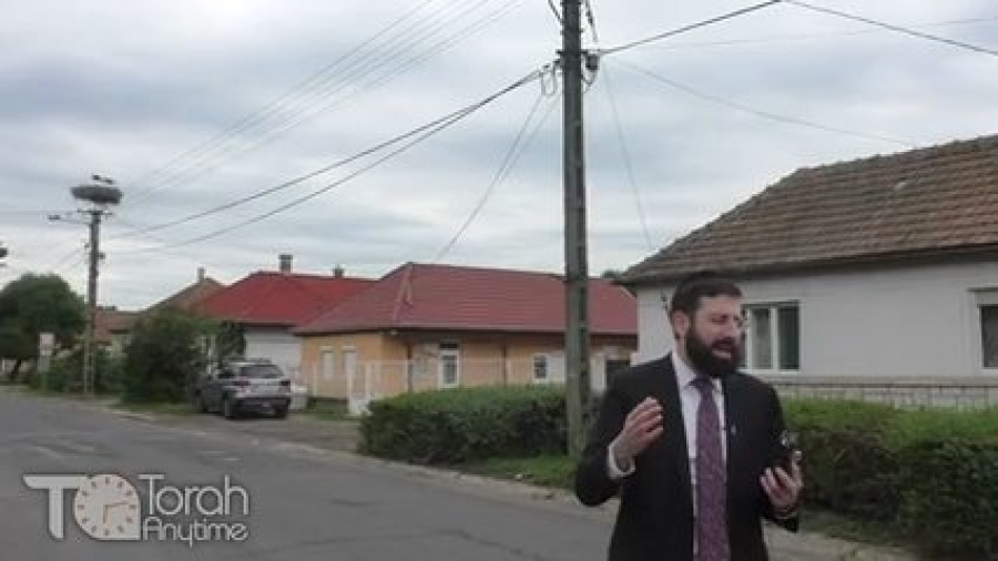 Journey to Hungary - The Wonder of the Storks of Kerestir