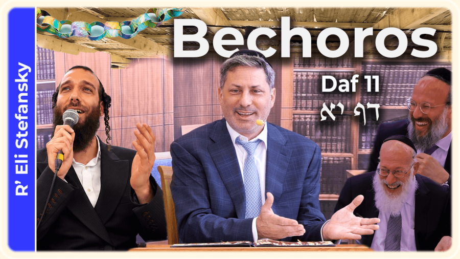 Daf Yomi Bechoros Daf 11 by R’ Eli Stefansky