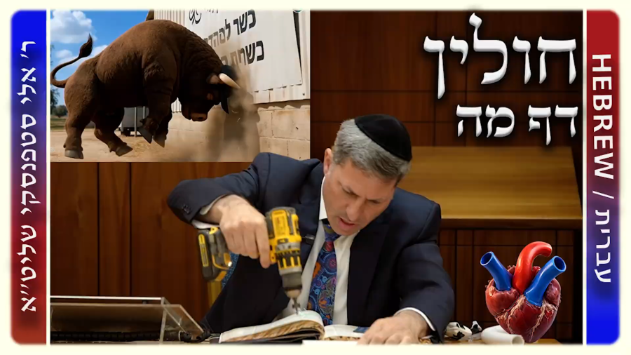 Daf Yomi Chullin Daf 45 by R’ Eli Stefansky