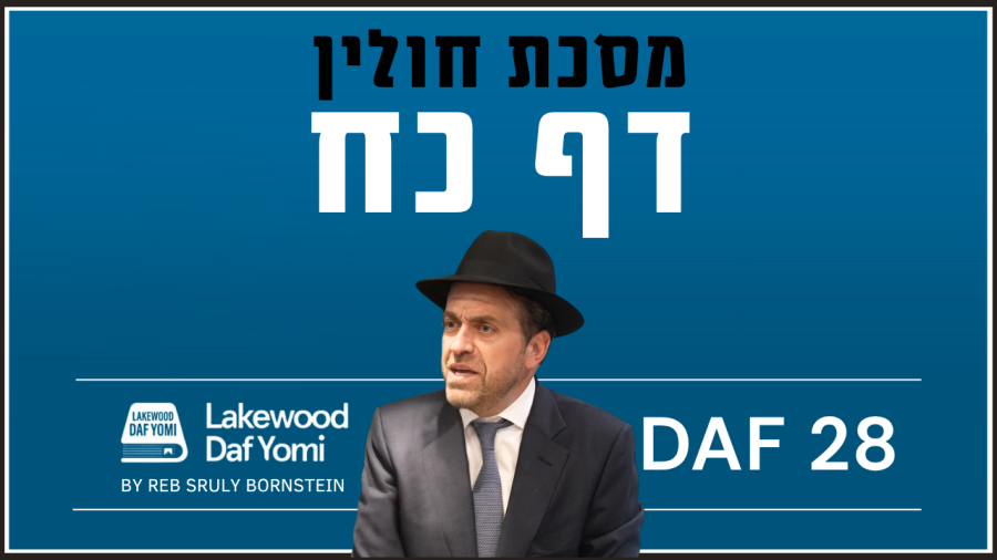 Chulin Daf 28 by Reb Sruly Bornstein