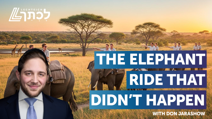 The Elephant Ride that Didn't Happen