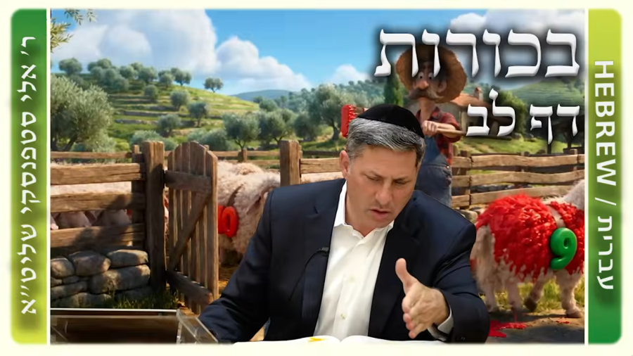 מרכז דף יומי - בכורות דף לב. - ר' אלי סטפנסקי שליט"א
