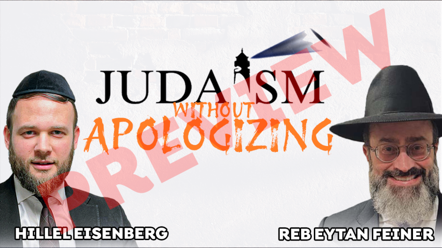 Thank You Hashem, Yum Yum and Matisyahu Spreading Light and Love?? - Judaism Without Apologizing - Reb Eytan Feiner- Preview