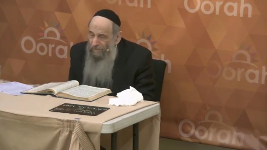 Why Don't Orthodox Jews Commemorate Yom Hashoah? - Ask the Rabbi Live with Rabbi Mintz