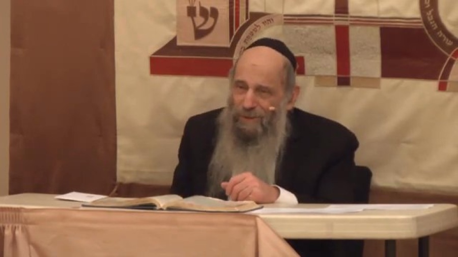 Life Support - Why Bother? - Isn't Afterlife Great? - Ask the Rabbi Live with Rabbi Mintz