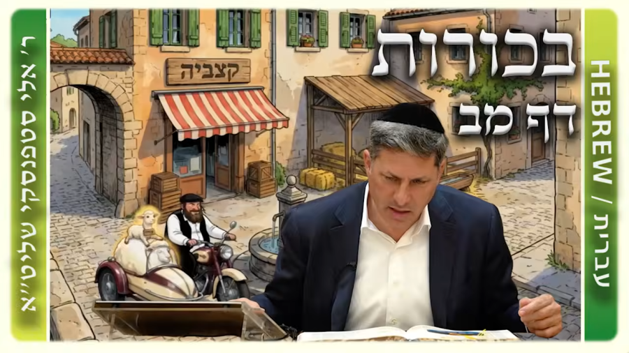 מרכז דף יומי - בכורות דף מב. - ר' אלי סטפנסקי שליט"א