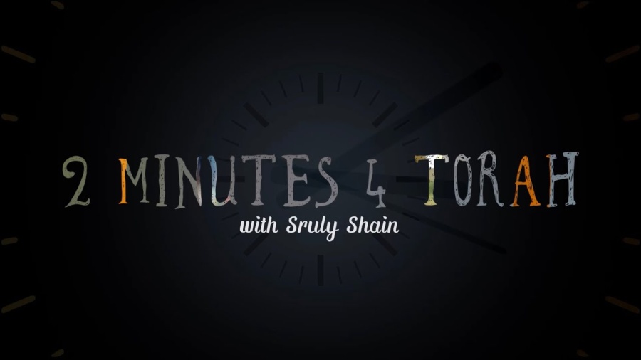 🍭Sweet and Sour 🤢 (Vayikra)